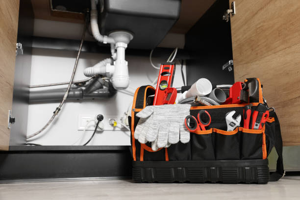 Best Commercial Plumbing Services  in Fort Meade, FL