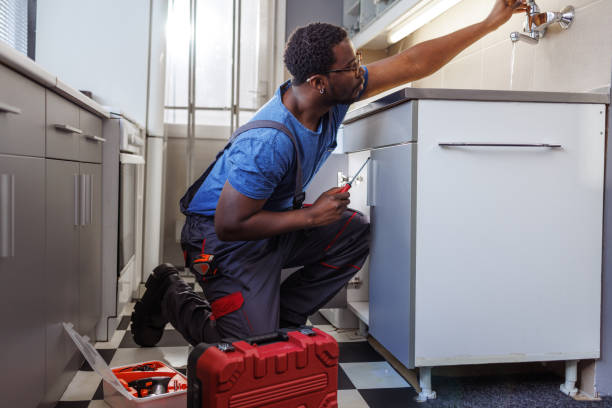Best Plumbing Inspection Services  in Fort Meade, FL